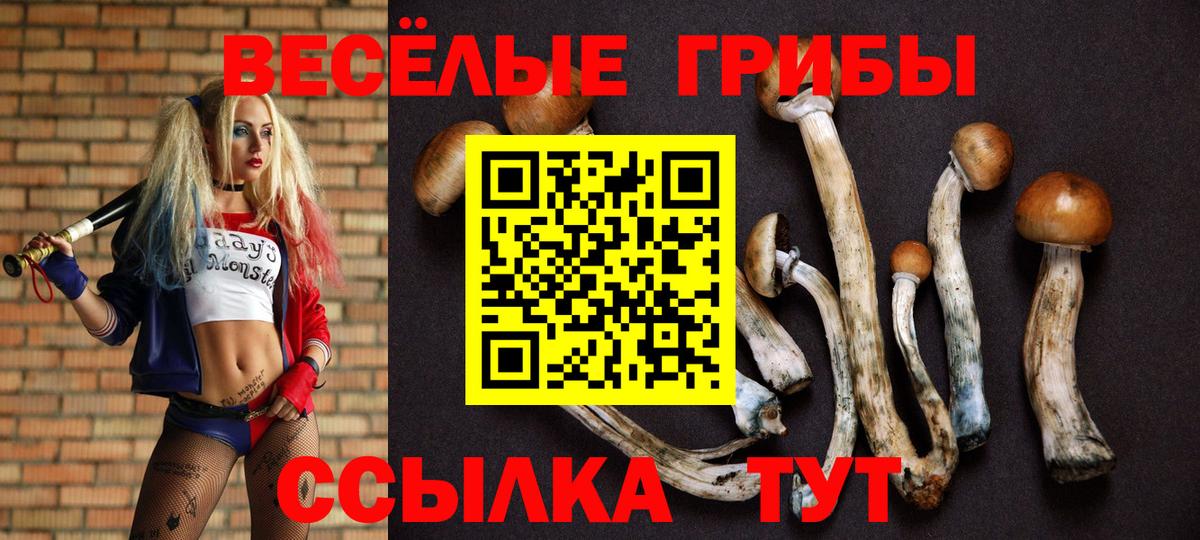 Псилоцибиновые грибы прущие грибы Можайск