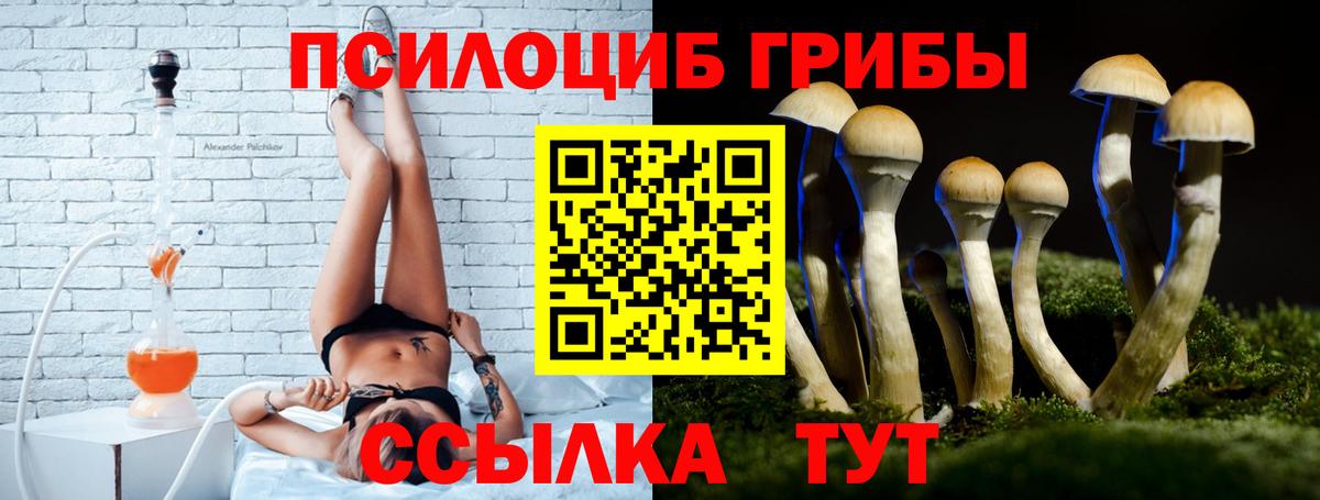 Галлюциногенные грибы MAGIC MUSHROOMS  купить   Можайск  Вход с VPN  Псилоцибиновые грибы мухоморы 